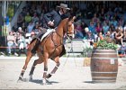 Pferd International 065